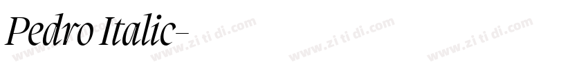 Pedro Italic字体转换 Pedro Italic字体转换